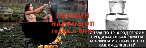 прущие грибы Горняк