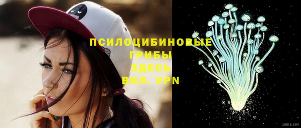 прущие грибы Горняк