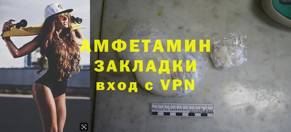 прущие грибы Горняк