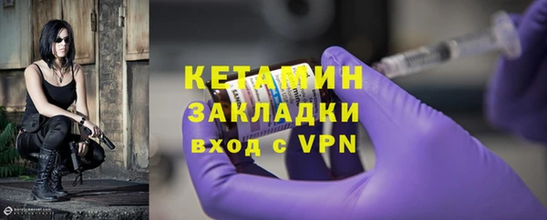 прущие грибы Горняк