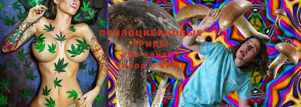 не бодяженный Гусев