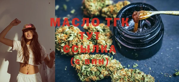 прущие грибы Горняк