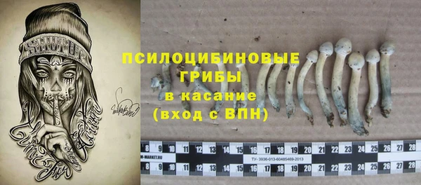 не бодяженный Гусев