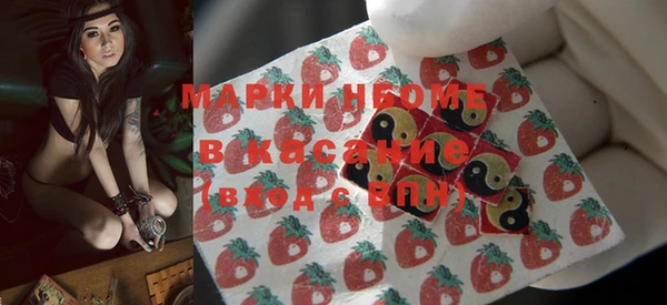 прущие грибы Горняк