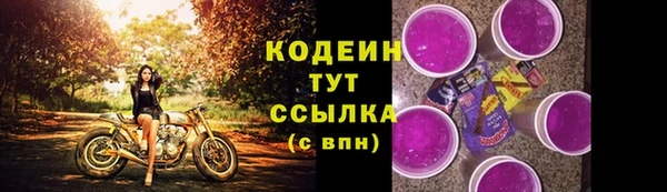 прущие грибы Гусь-Хрустальный